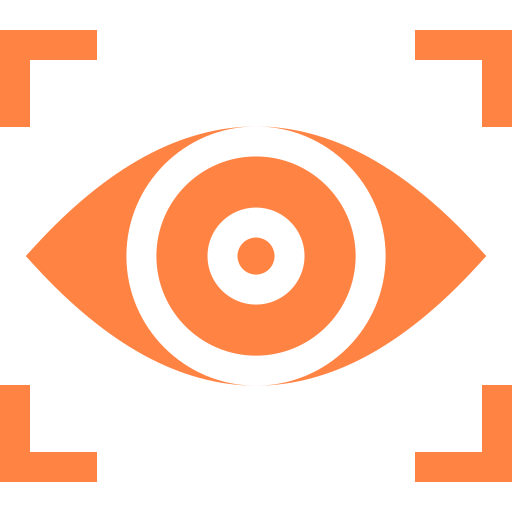 Vision Icon